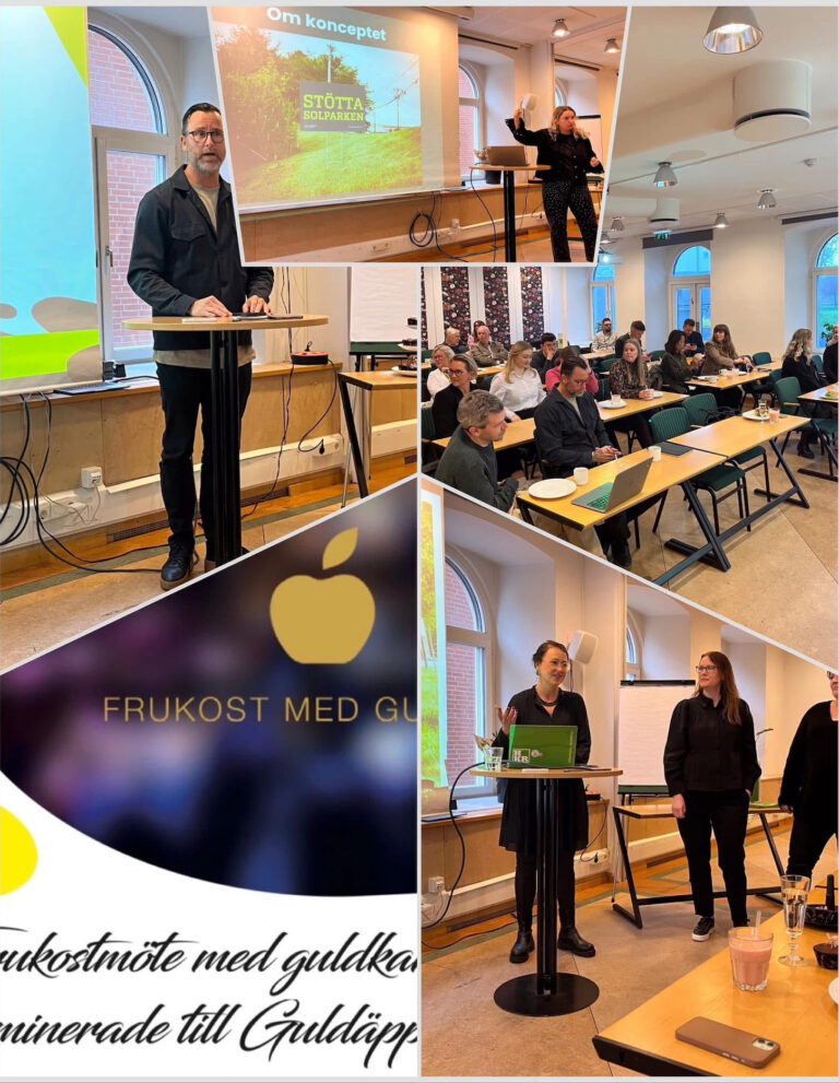 Bilder från året 2024